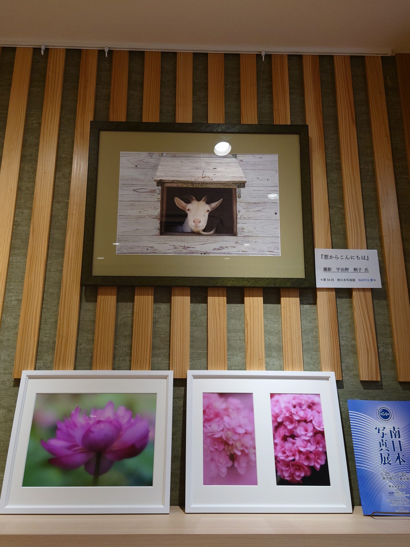 第54回南日本写真展SANTA賞受賞 宇治野桐子様 作品