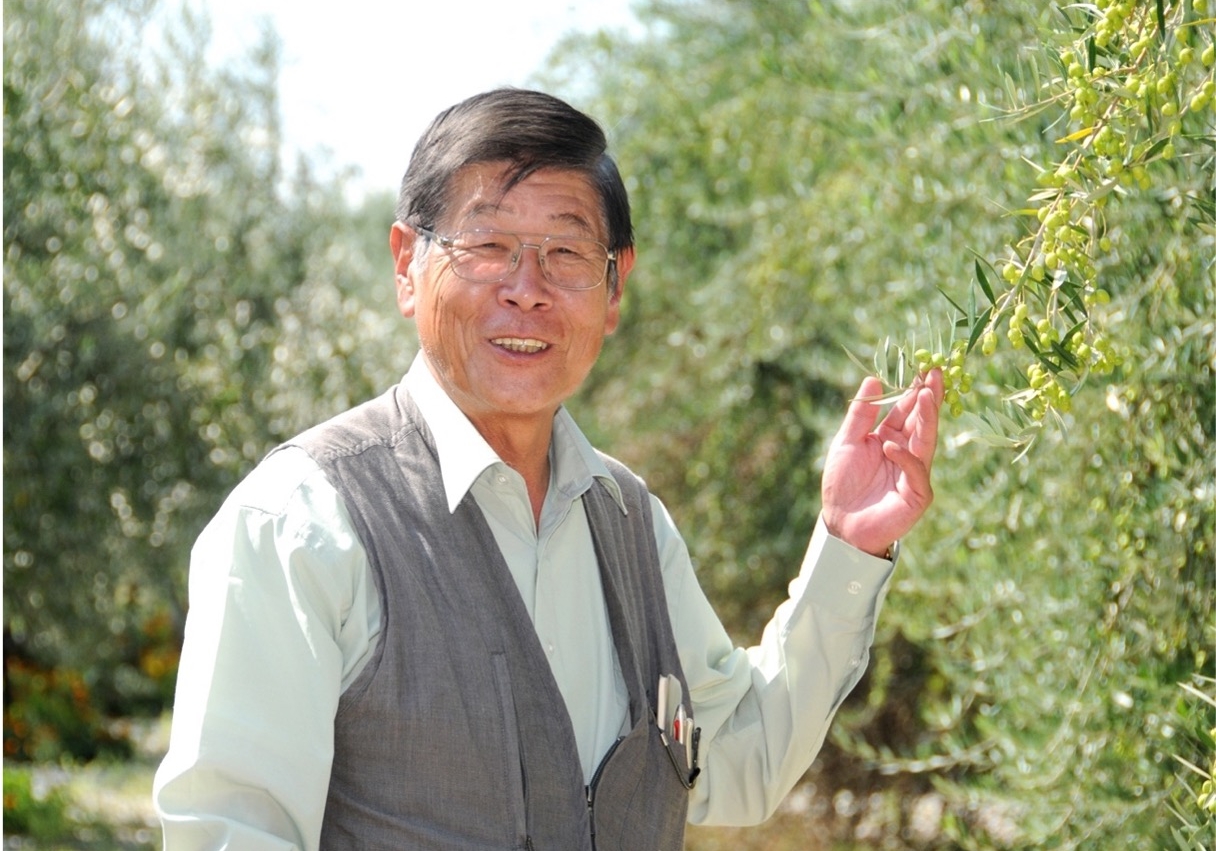 olive-oil-producer_setouchi